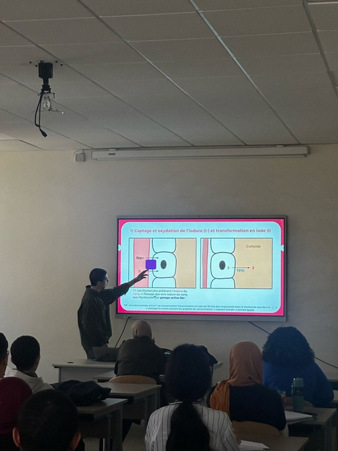 Support visuel du tutorat Hippocrate pour les étudiants A1 et A2